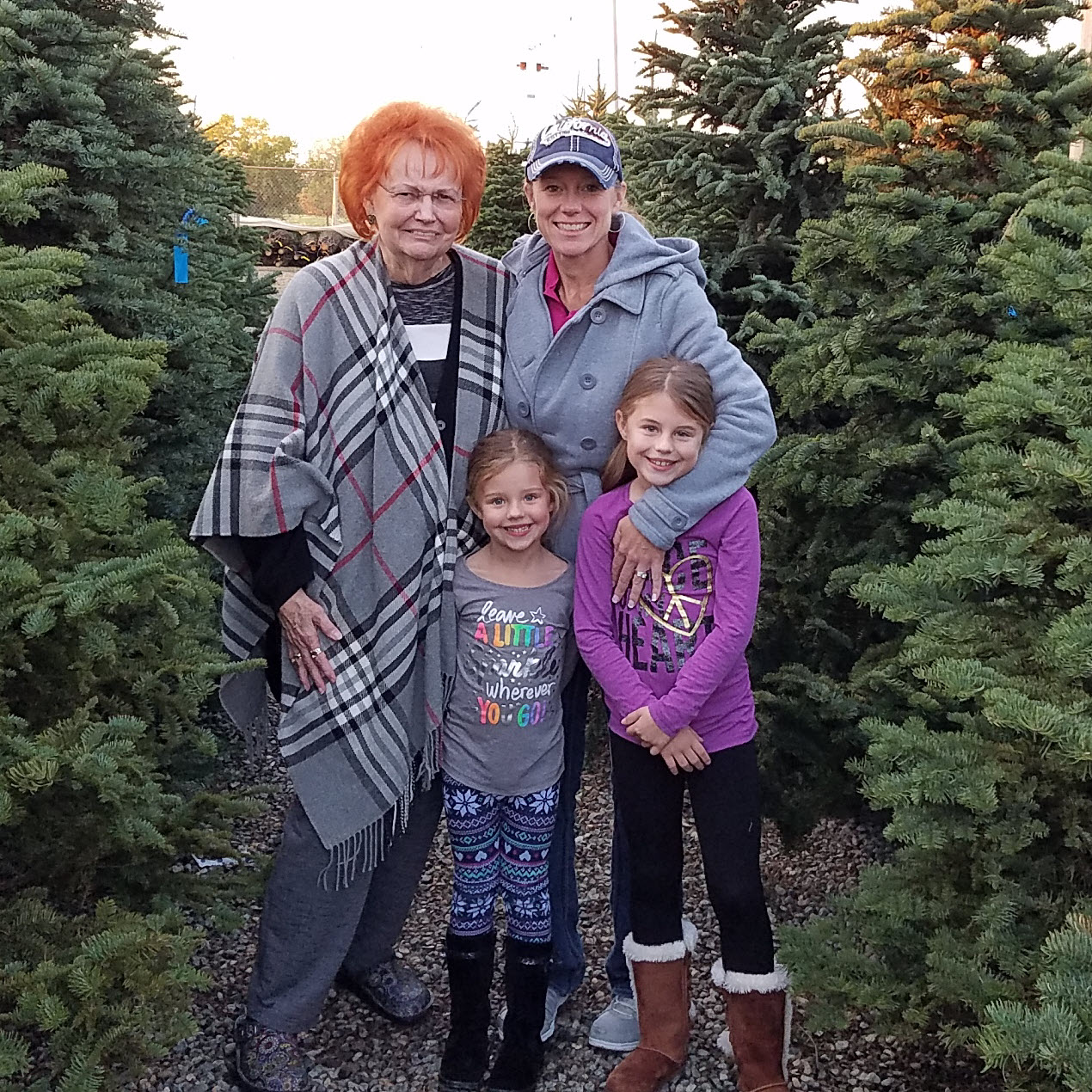 Christmas trees